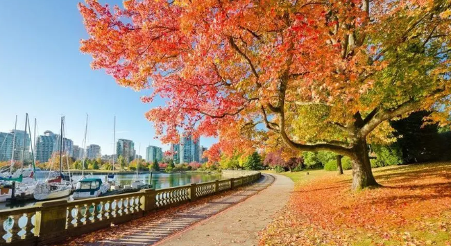 加拿大硕士2023年申请时间线！要把握这几个关键时间节点