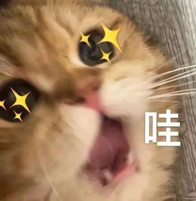 @留学生 留英工签Scale-up visa来了！